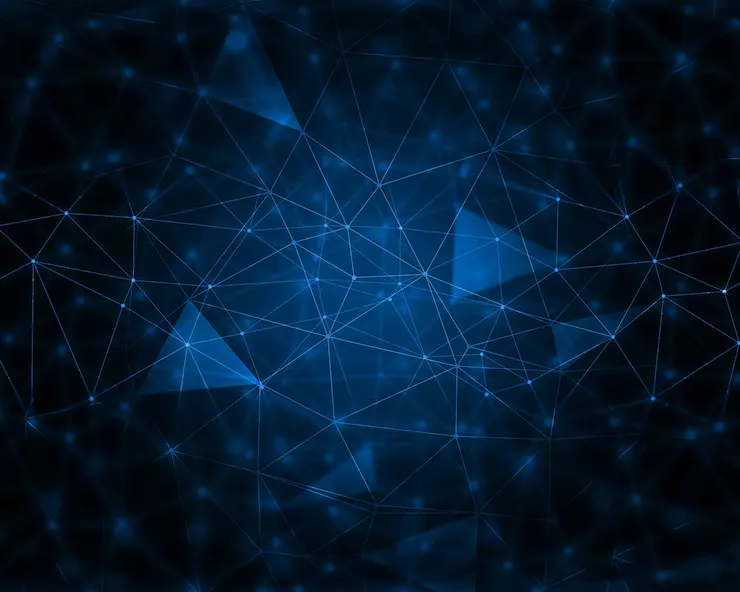 Website Design Portfolio UAE